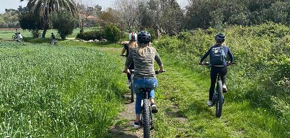 טבע מרהיב וטיולי אופניים // צילום: אמיר קטן